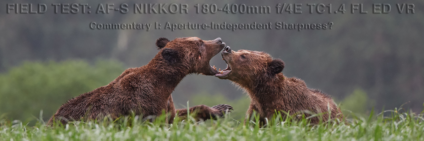 Nikon 180-400mm Field Test: Commentary 1 - Aperture-Independent Sharpness?