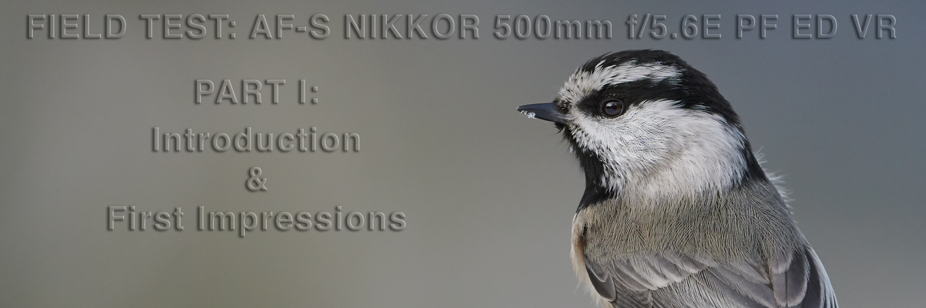 Nikon 500mm f5.6E PF Field Test: Intro & First Impressions