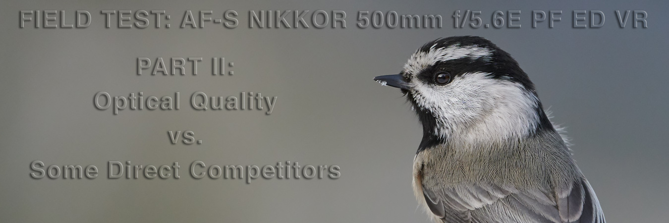 Nikon 500mm PF Field Test: Optical Quality vs. Some Direct Competitors