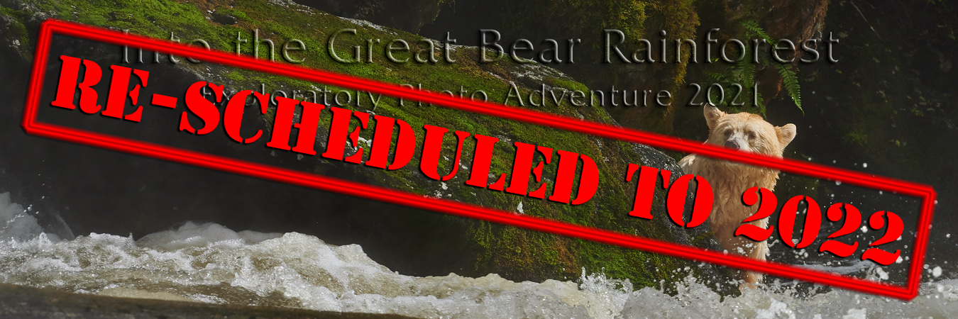 Into the Great Bear Rainforest Exploratory Photo Adventure 2021