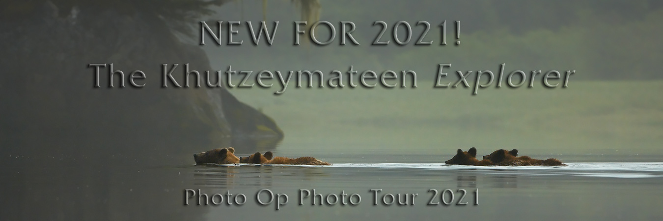 The Khutzeymateen Explorer Photo Op Photo Tour 2021