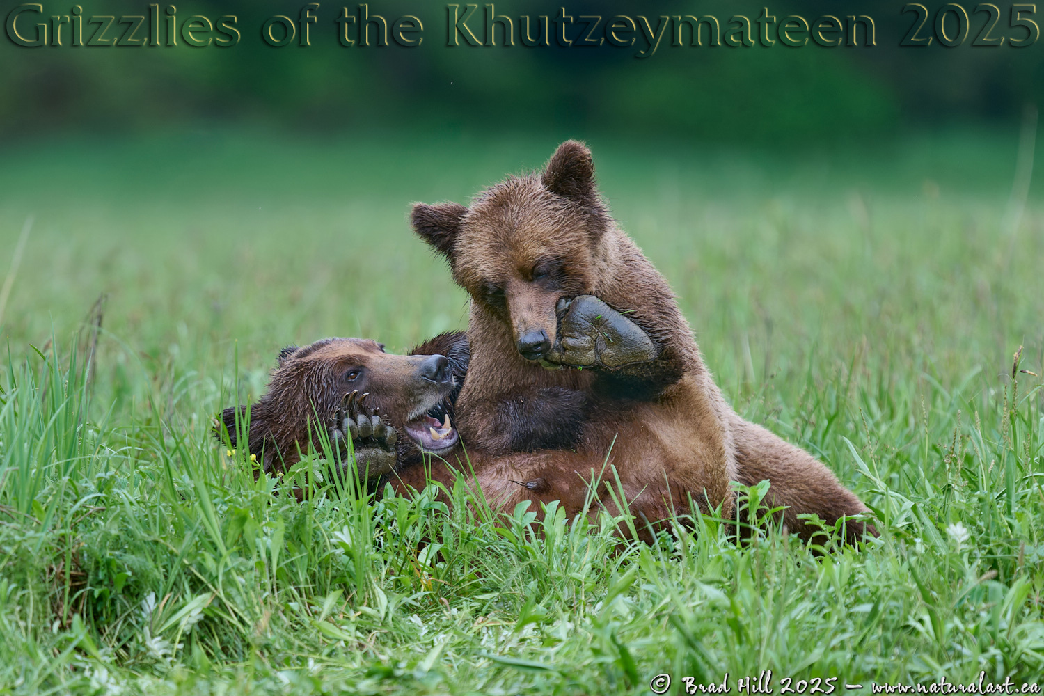 Ouch! Careful on the Toes!