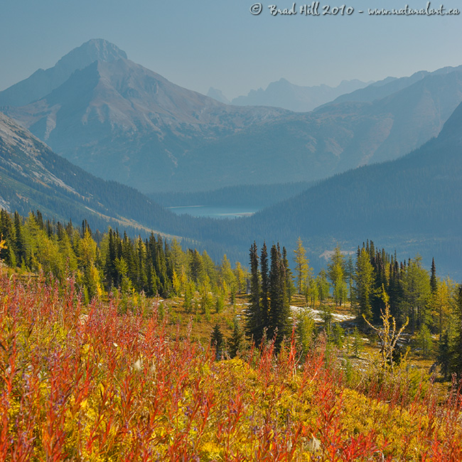 Mid-September in the Canadian Rockies